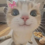 Kiwiko