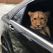 Angry