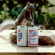 Handicap Squirrel