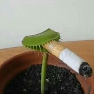 SanDV
