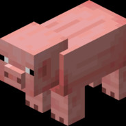 Porco Minecraft