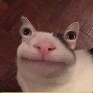 ............
