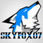 Avatar of SkyFox07