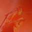 Alex Turner