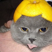 Vampire Koala's Avatar