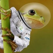 AstroFrog