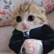Chinese Businessman