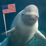 Beluga Whale