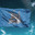 Group Avatar