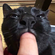 Riizi
