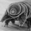 the_oldest_tardigrade