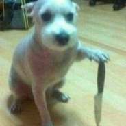 lave vkarman ne priacj