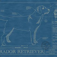 Blueprint