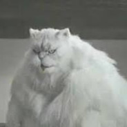 Weather_san's Avatar