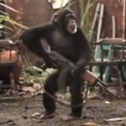 monkey use the ak