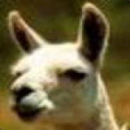 Fast Llama avatar