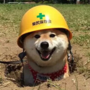 safetydoggo saves the round