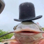FAJAJEBIEMITOWAREM