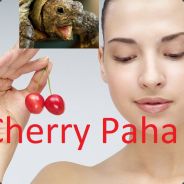 Cherry Paha