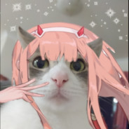 WombRaider