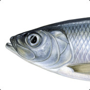 Herring avatar