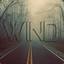 Wind