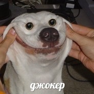 shadixon