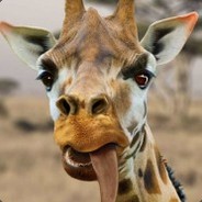 Giraffe BETS.gg