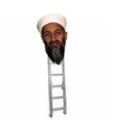 Osama Bin Ladder