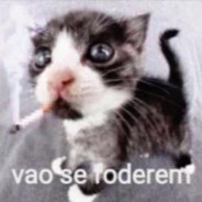 xitado kid