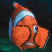 RSA-BionicNemo
