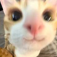 cfx_'s Avatar