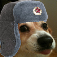 Comrade Doge