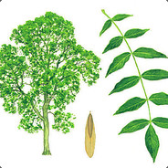 Kenion