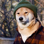 chillydoggo's Avatar