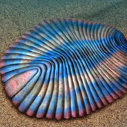 Dickinsonia