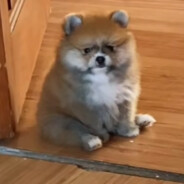 ĐᎥssℂựṧټˣˣˣ