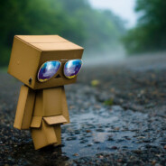 Danbo