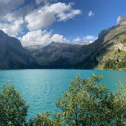 Make Goyim great Again !'s Avatar