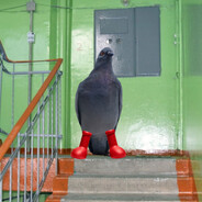 Steam Community Avatar