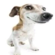 itsTh3K1ll3r