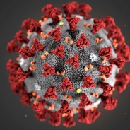 CORONA-VIRUS avatar