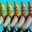 Group Avatar