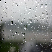 Mickie-Moose's Avatar