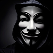 vnS