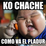 OGajoDoPladur
