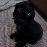 Avatar de judiego gonzales