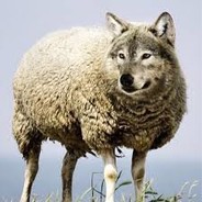 ГавКошМыг