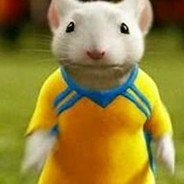Stuart Widdle