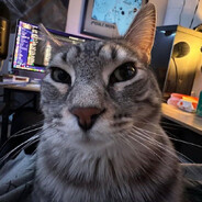 Steam Community Avatar